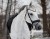 DSC_7395fb.jpg