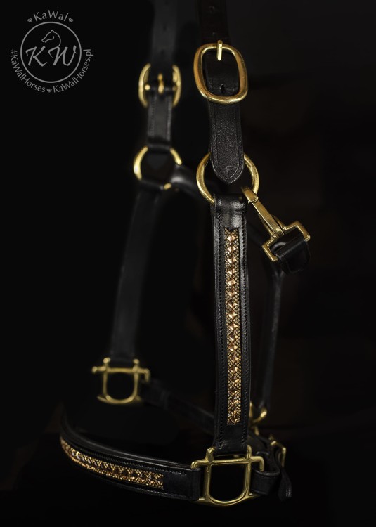 DSC_5941-2 kopia.jpg