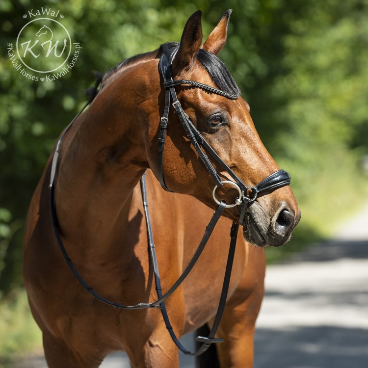 DSC_4625kwadrat kopia.jpg