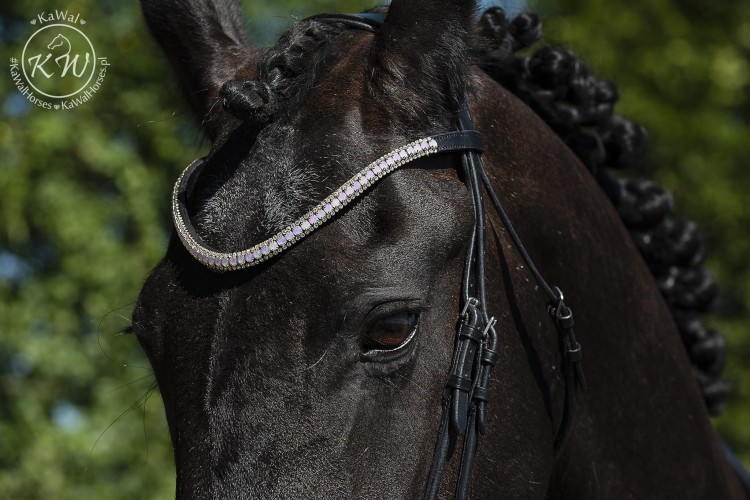 DSC_4377 kopiafb.jpg