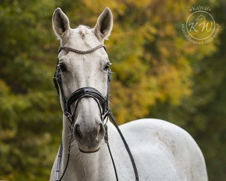 DSC_6085-2 kopia.jpg