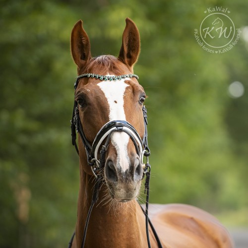 DSC_3404_1 kopia.jpg