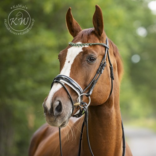 DSC_3408_1 kopia.jpg