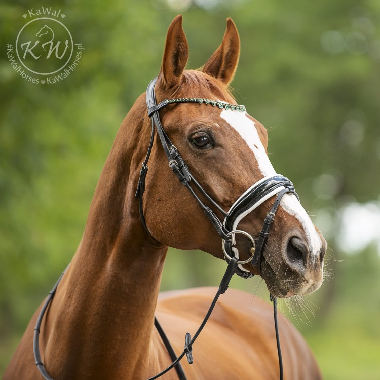 DSC_3429_1 kopia.jpg