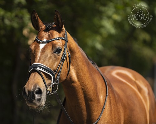 DSC_3191 — Odzyskano kopia.jpg