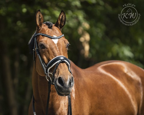 DSC_3200 — Odzyskano kopia.jpg