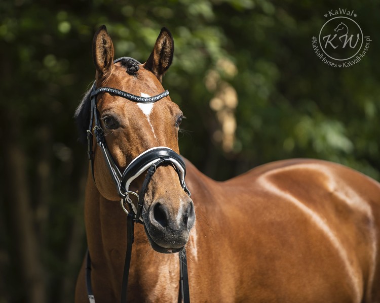 DSC_3200 — Odzyskano kopia.jpg