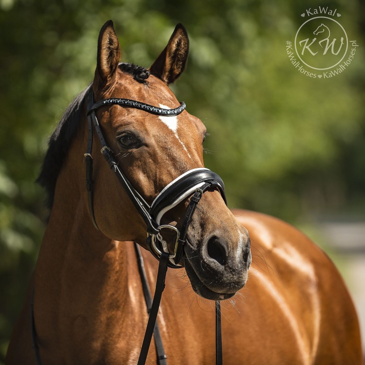 DSC_3207 — Odzyskano kopia.jpg