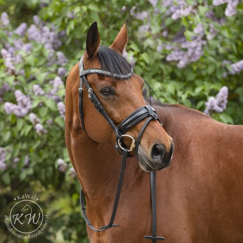 DSC_0943_1 kopia.jpg