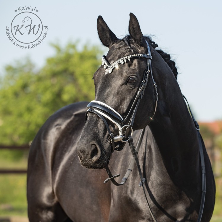 DSC_1477_1 kopia.jpg