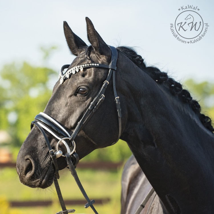 DSC_1485_3 kopia.jpg