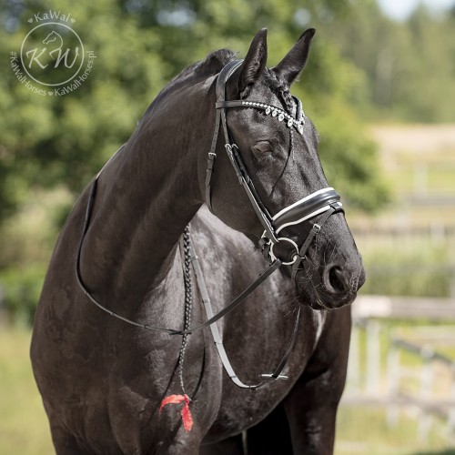 DSC_4010_2 kopia.jpg