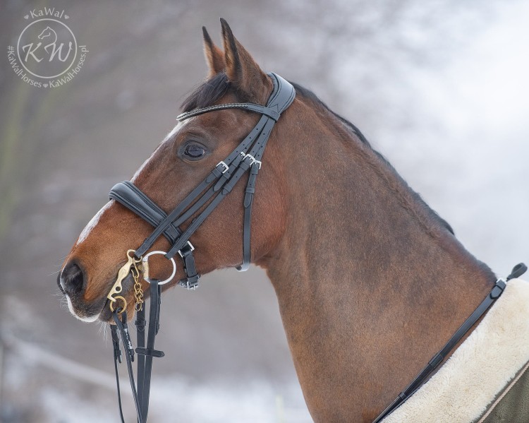 DSC_6629_1 kopia.jpg