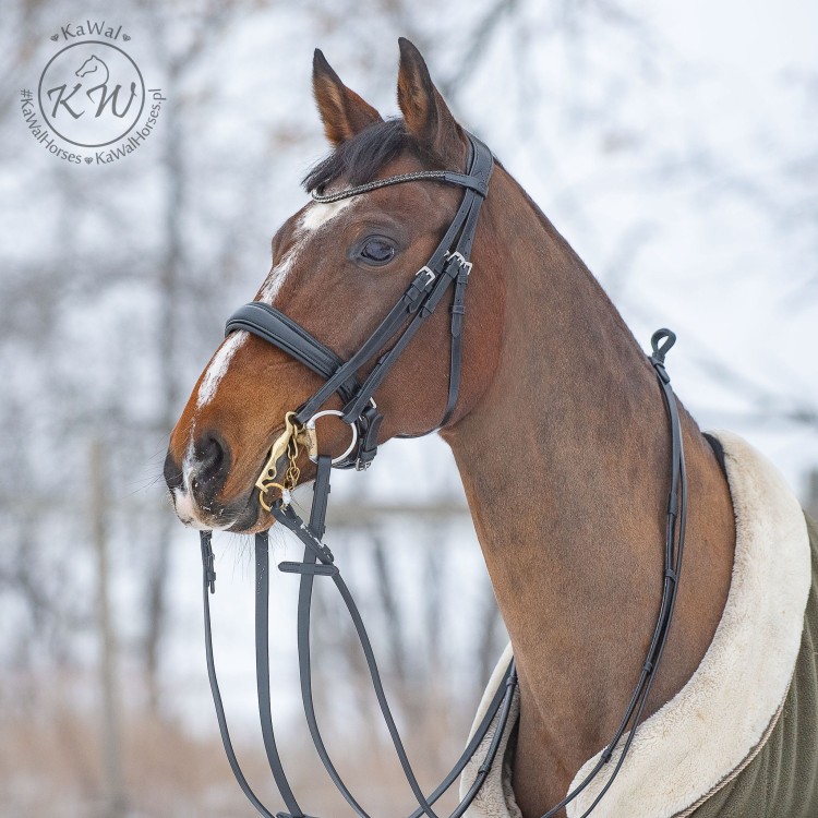 DSC_6644_1 kopia.jpg