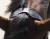 DSC_8111fb.jpg