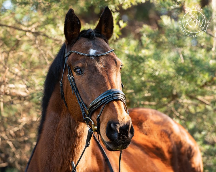 DSC_7174 — Odzyskano kopia.jpg