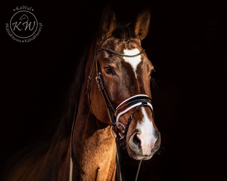 DSC_7908_2 kopia.jpg