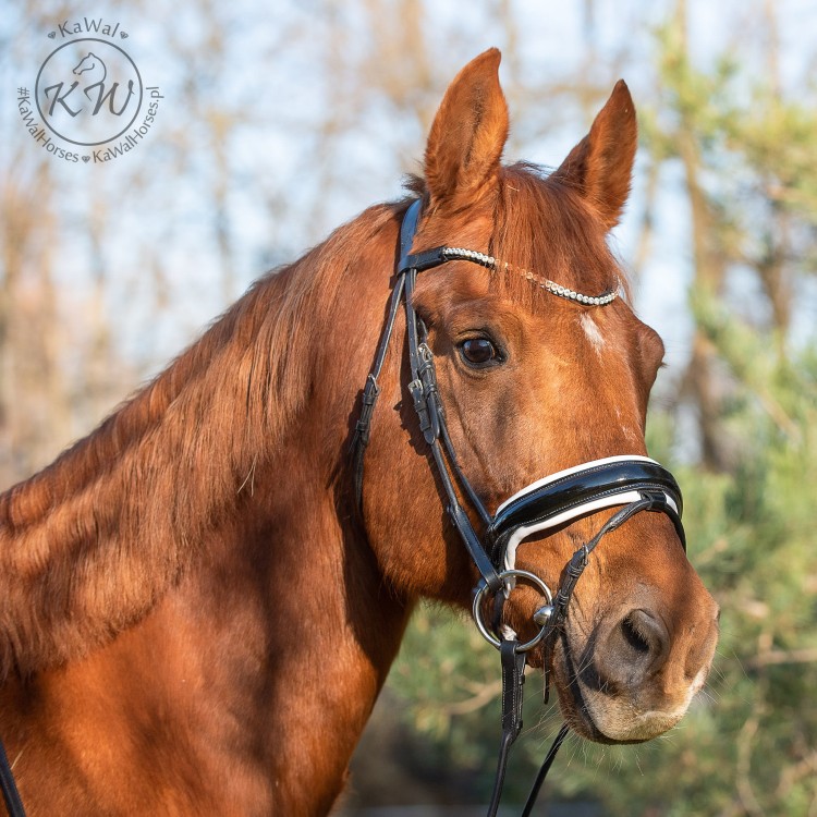 DSC_7096 — Odzyskano kopia.jpg