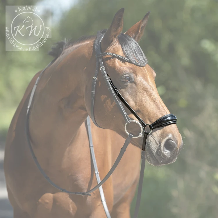 DSC_4650-nachrapnik_dropBLL kopia.jpg