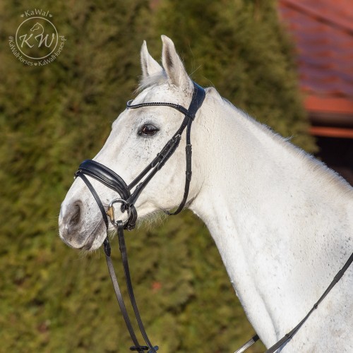 DSC_7813_1 kopia.jpg