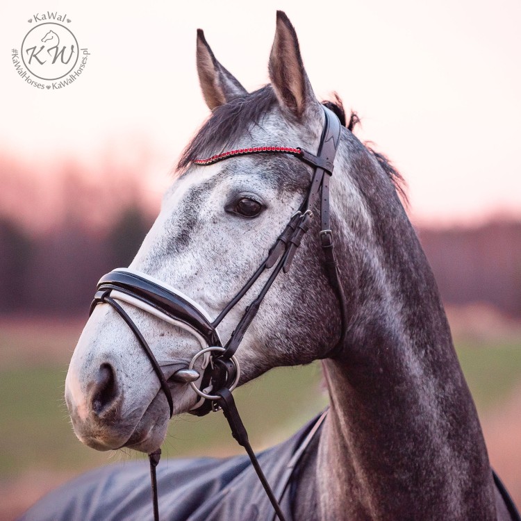 DSC_7951_1 kopia.jpg