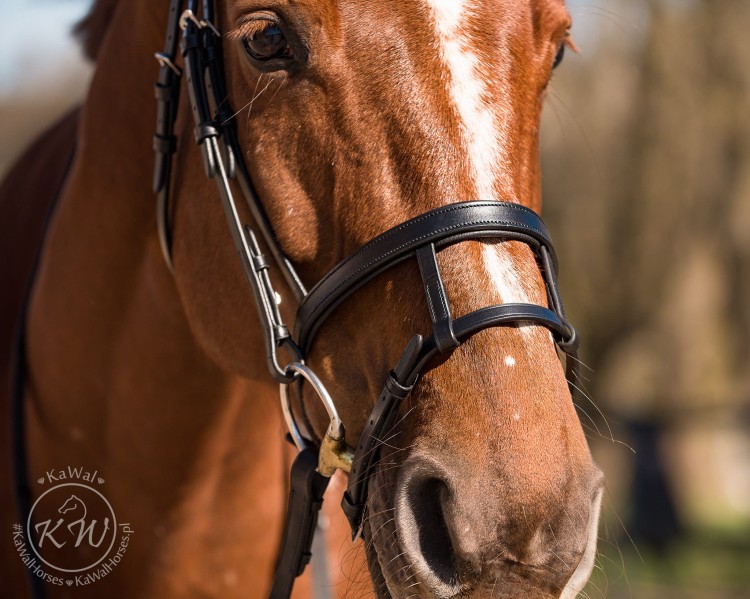 DSC_8246_1 kopia.jpg