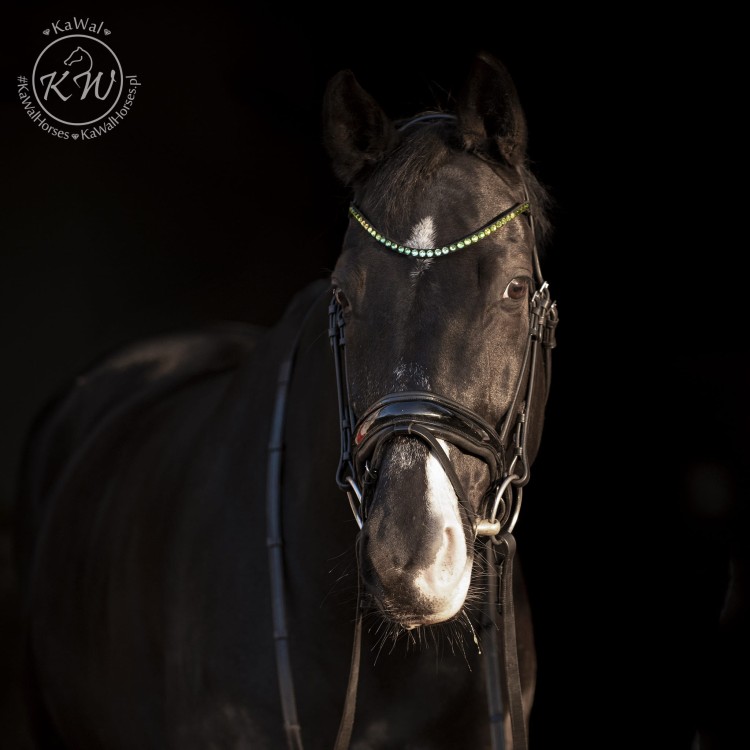 DSC_2698_2 kopia.jpg