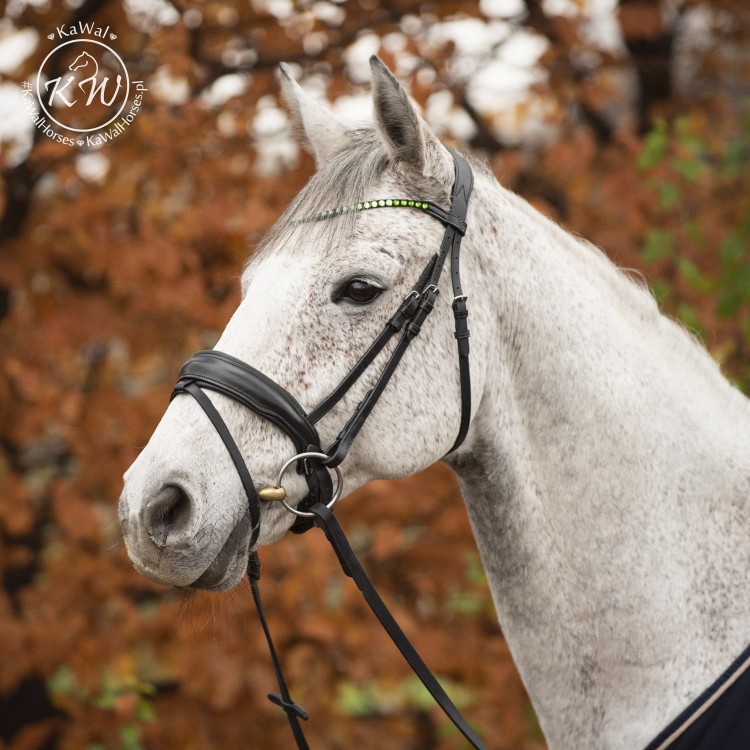 DSC_1977_1 kopia.jpg