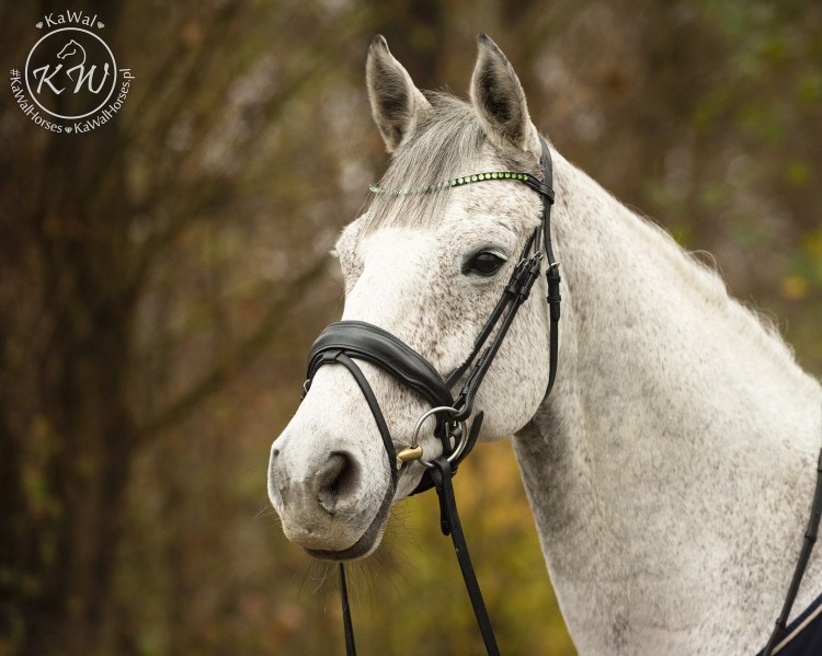 DSC_2001_1 kopia.jpg