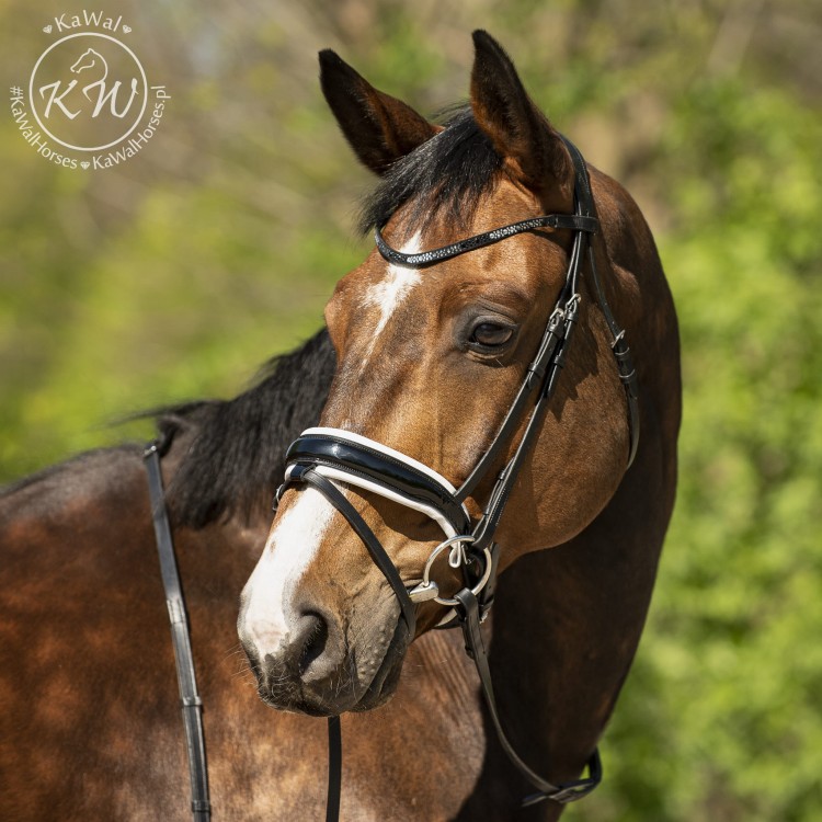 DSC_6603k.jpg