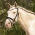 DSC_5614k.jpg