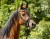 DSC_8886_1.jpg