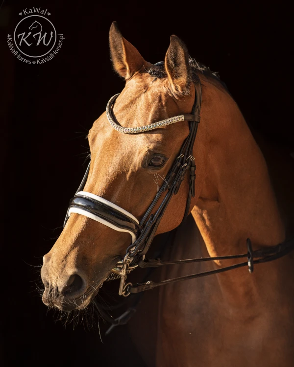 DSC_4532_2.jpg